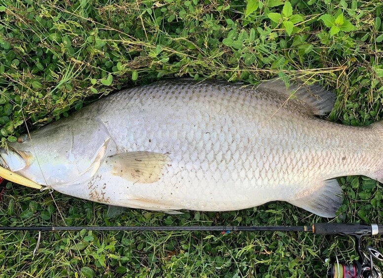 Picture 1 for Activity Barramundi Adventure Fishing Tours