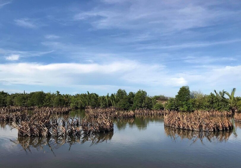 Picture 6 for Activity Barramundi Adventure Fishing Tours