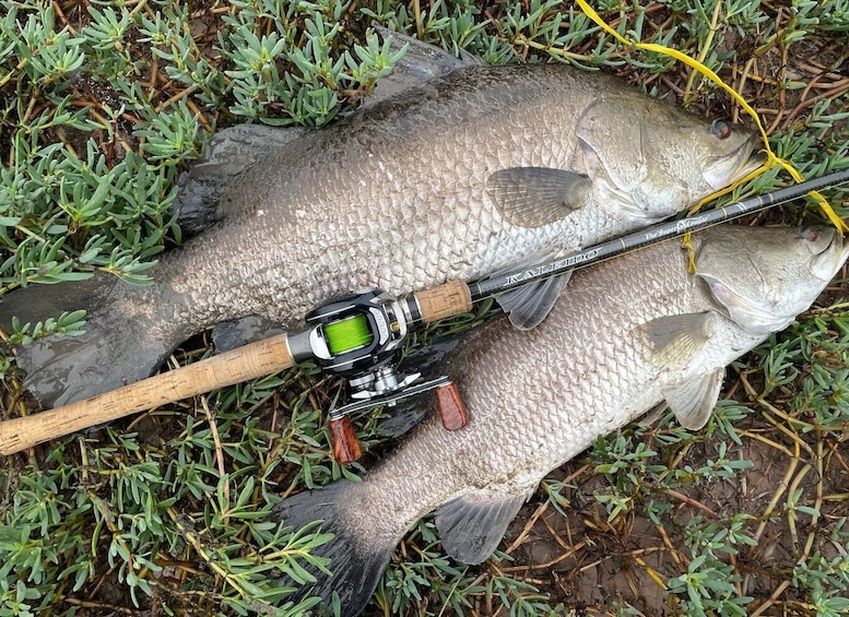 Picture 4 for Activity Barramundi Adventure Fishing Tours