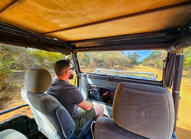 Safari por el Parque Nacional de Yala desde Hambantota