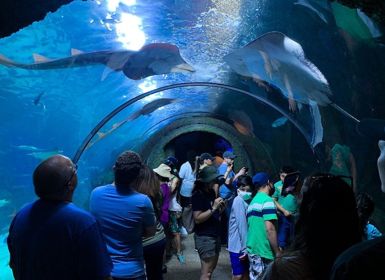 Picture 3 for Activity Denver: Downtown Aquarium All-Day Pass