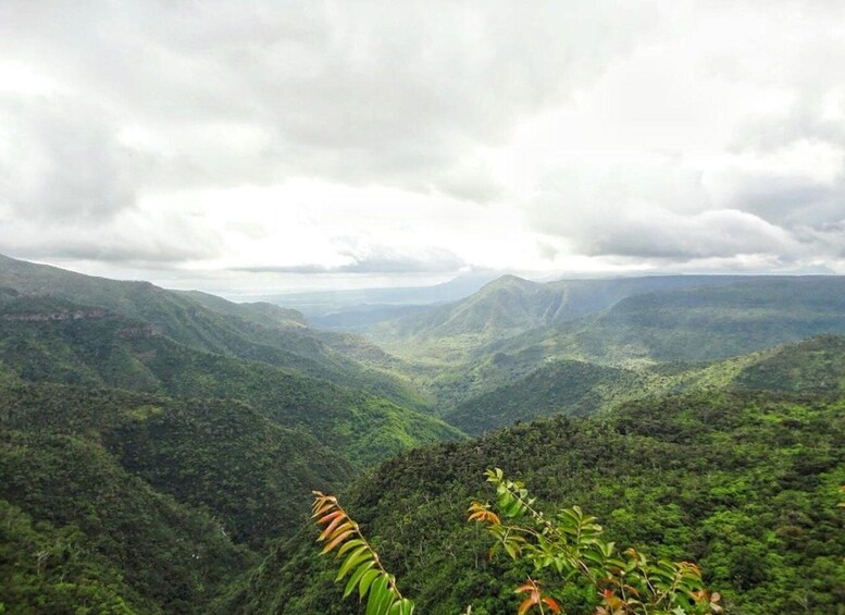 Picture 4 for Activity Explore the Southwest with Local Lunch & Rum Tasting