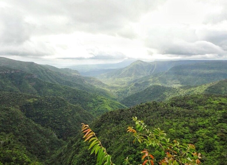 Picture 4 for Activity Explore the Southwest with Local Lunch & Rum Tasting