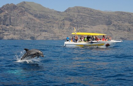 Los Gigantes: Gigantes: Delfiinien ja valaiden katseluristeily uinnin kanss...