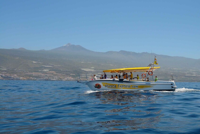 Picture 1 for Activity Los Gigantes: Dolphin & Whale Watching Cruise with Swim Stop