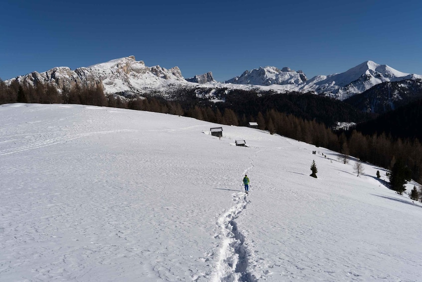 Picture 5 for Activity One day hike with snowshoes to discover Dolomites