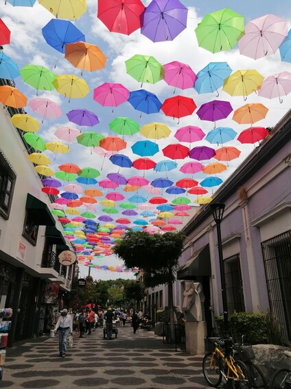 Picture 23 for Activity From Guadalajara: Downtown and Tlaquepaque Sightseeing Tour