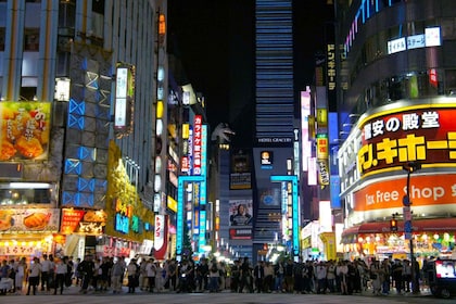 Tokyo: Shinjuku District Guided Walking Tour at Night