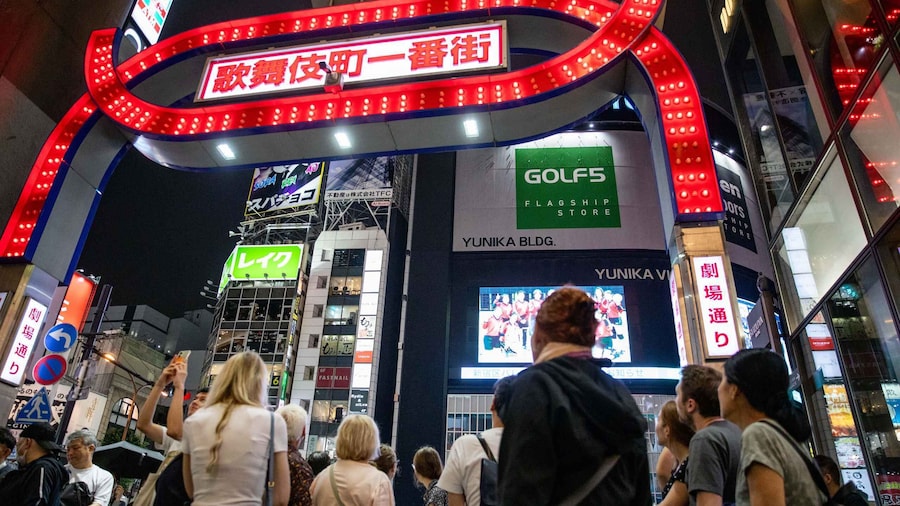 Tokyo: Shinjuku District Guided Walking Tour at Night