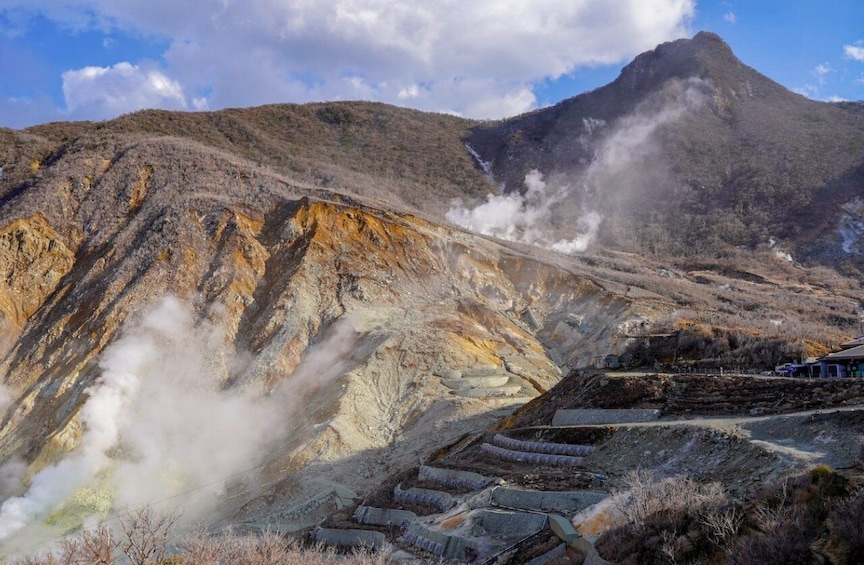 Picture 3 for Activity Hakone: 10-hour Customizable Private Tour