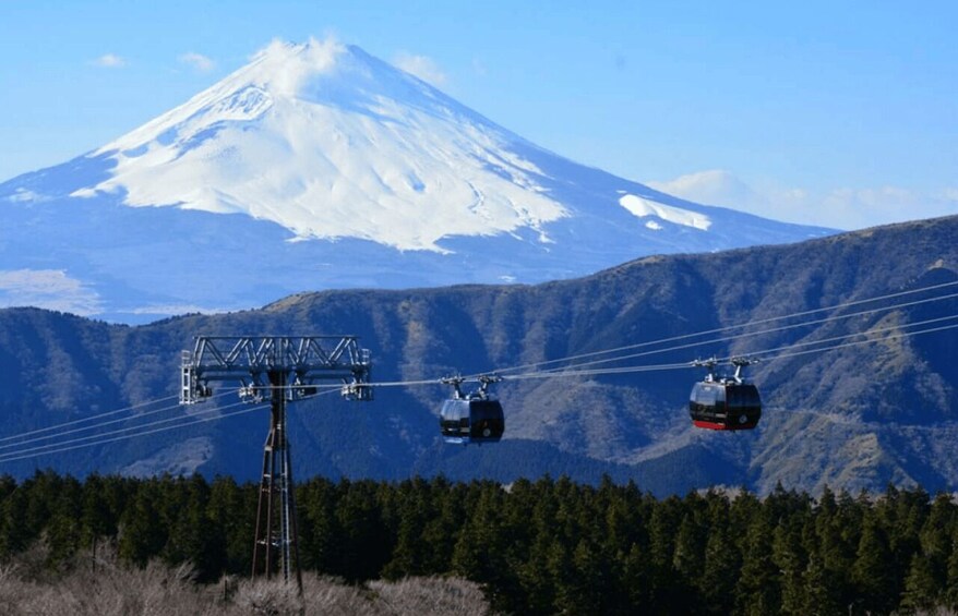 Picture 5 for Activity Hakone: 10-hour Customizable Private Tour