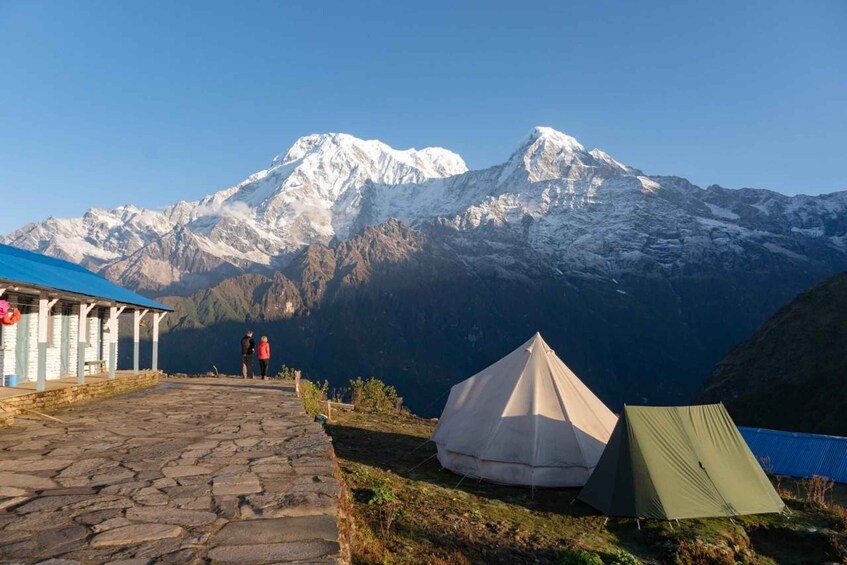 Picture 2 for Activity Mardi Himal Trek from Pokhara - 5 Day