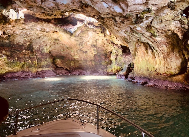 Picture 5 for Activity 4,5 hours private boat tour in Polignano