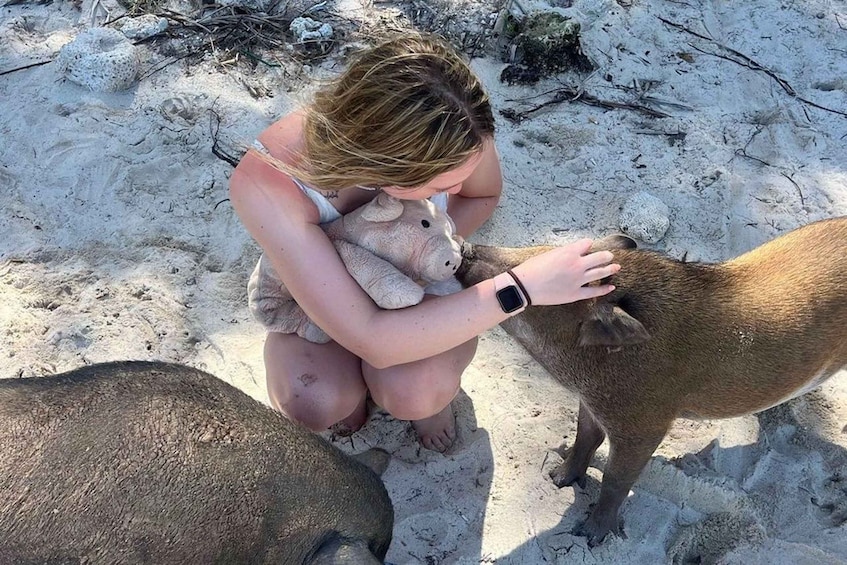 Picture 12 for Activity Koh Samui: Private Longtail Tour to Pig Island with Snorkel