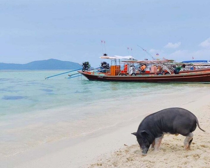 Picture 4 for Activity Koh Samui: Private Longtail Tour to Pig Island with Snorkel