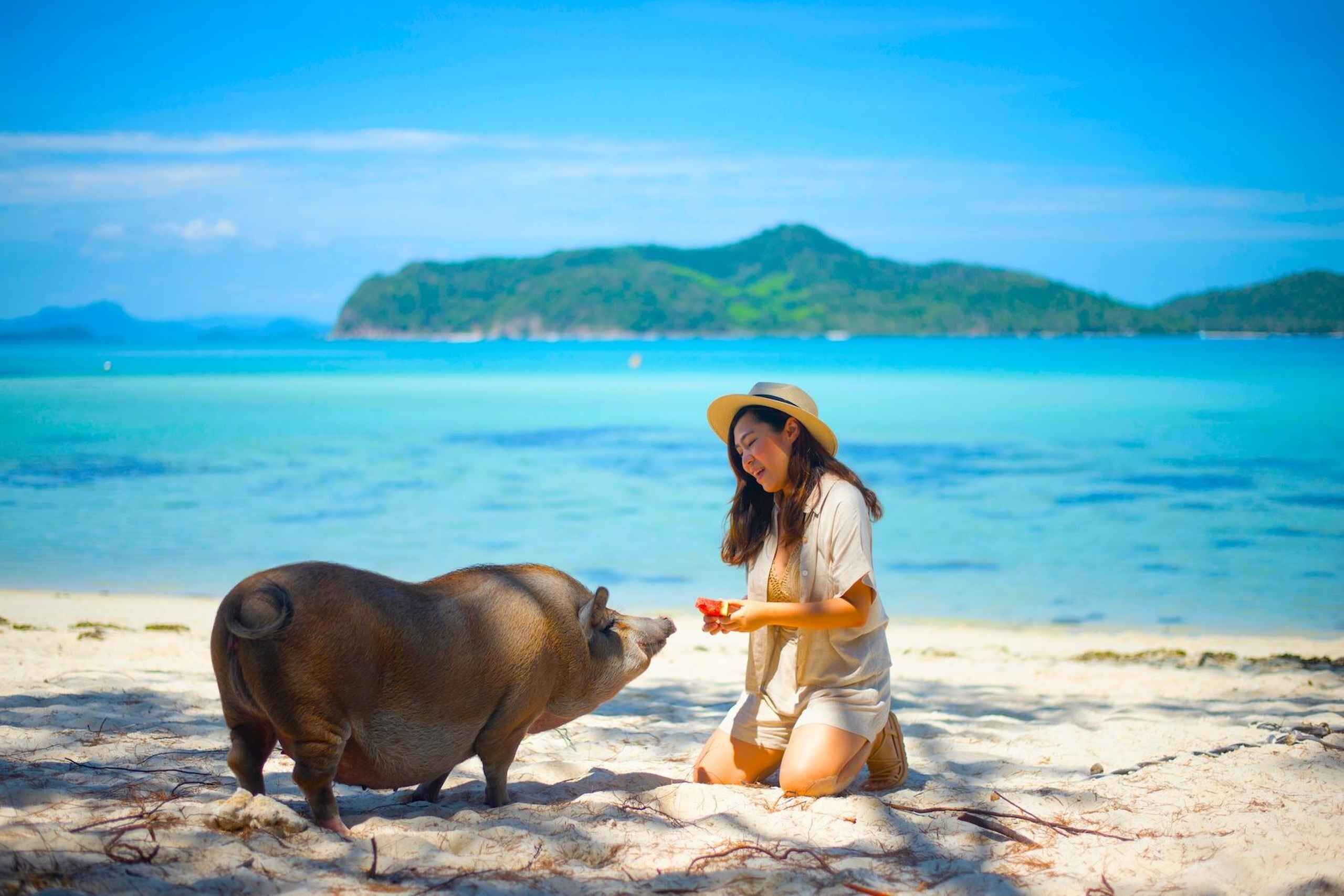 Koh Samui: Private Longtail Boat to Pig Island with Snorkel