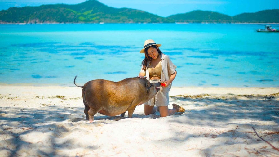 Koh Samui: Private Longtail Boat to Pig Island with Snorkel