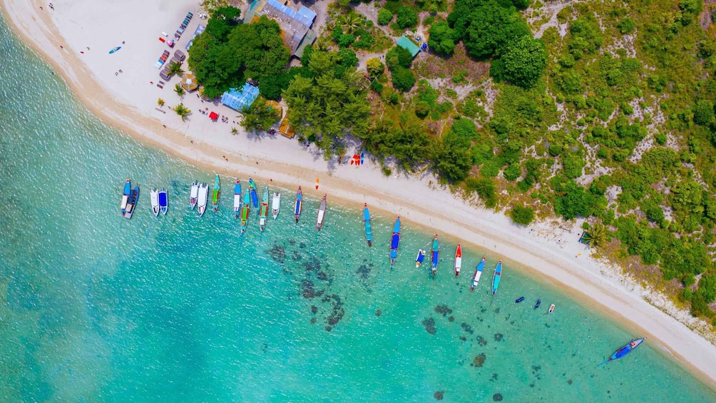 Picture 10 for Activity Koh Samui: Private Longtail Boat to Pig Island with Snorkel