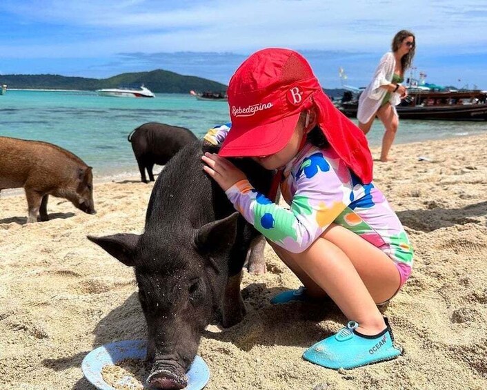 Picture 6 for Activity Koh Samui: Private Longtail Tour to Pig Island with Snorkel