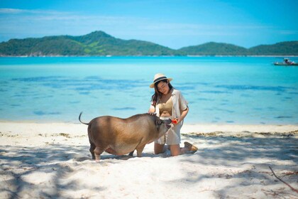 Koh Samui: tour privado de cola larga a Pig Island con esnórquel