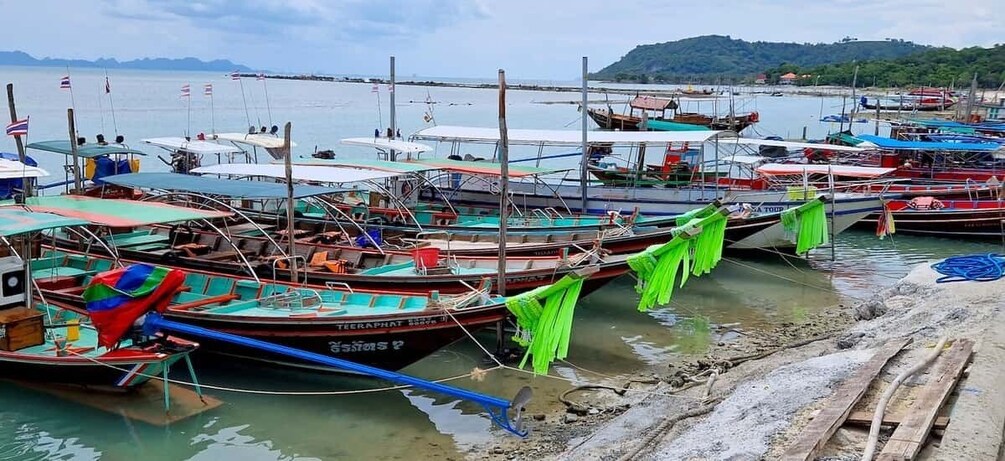 Picture 10 for Activity Koh Samui: Private Longtail Tour to Pig Island with Snorkel