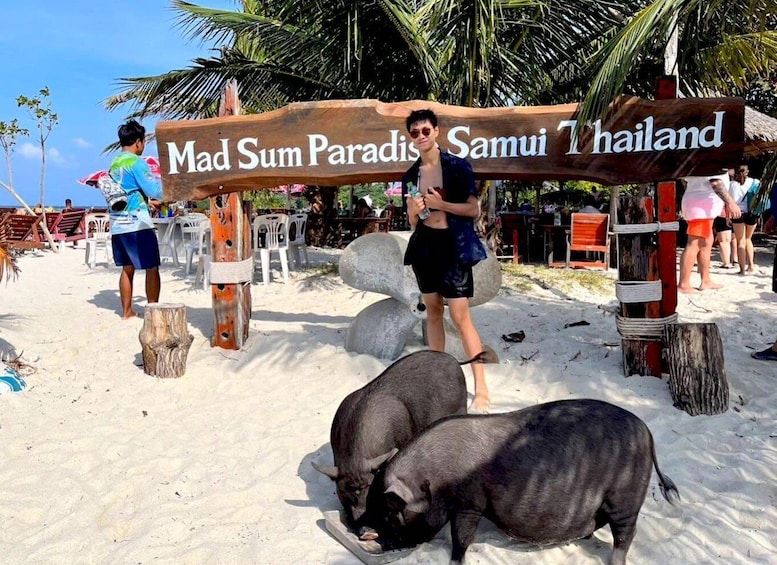 Picture 1 for Activity Koh Samui: Private Longtail Tour to Pig Island with Snorkel