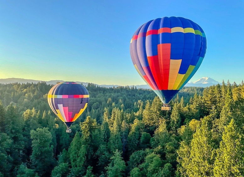 Picture 1 for Activity Seattle: Mt. Rainier Sunset Hot Air Balloon Ride