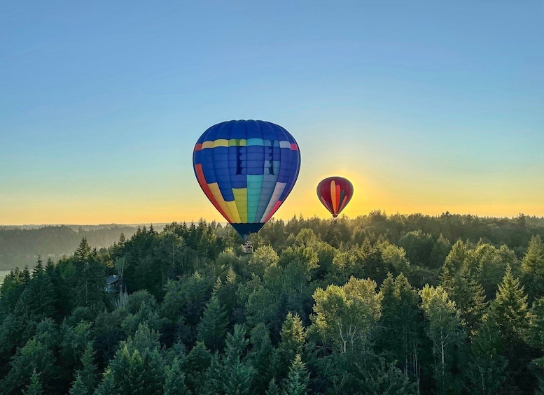 Picture 4 for Activity Seattle: Mt. Rainier Sunset Hot Air Balloon Ride