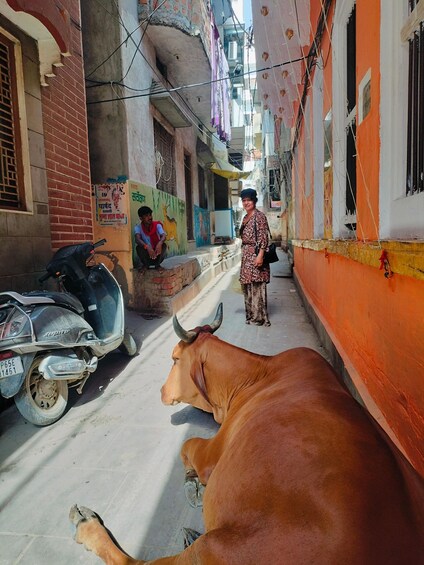 Picture 21 for Activity Tourist Guide English & Spanish Varanasi/Benares