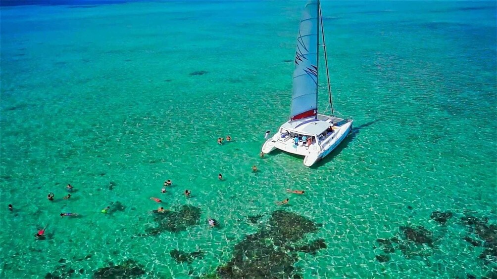 Picture 5 for Activity Catamaran Trip to Ile au Cerfs with Lunch and GRSE waterfall