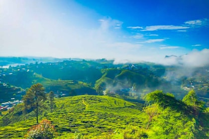 De Kandy a Nuwara Eliya: tour de día completo con almuerzo