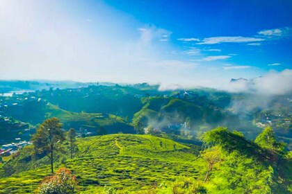 Kandy til Nuwara Eliya: Heldagstur med lunsj