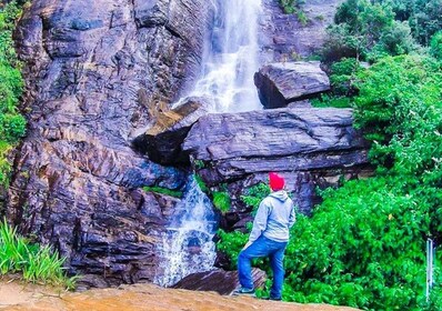 Desde Kandy: tour de un día con todo incluido a Nuwara Eliya con almuerzo