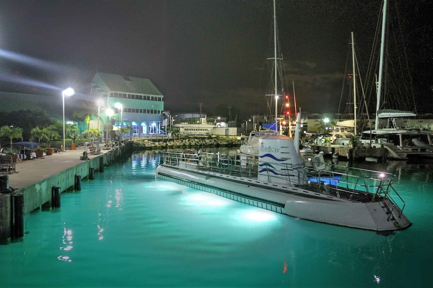 Picture 2 for Activity Bridgetown: Submarine Guided Night Tour