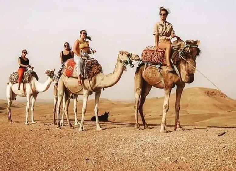 Picture 39 for Activity Marrakech: Agafay Desert Tour with Quad, Camel Ride & Dinner