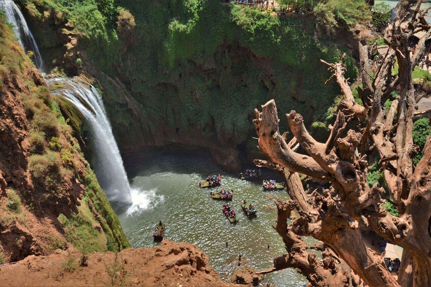 Picture 7 for Activity Majestic Ouzoud Waterfalls: Guided Hike and Boat Adventure