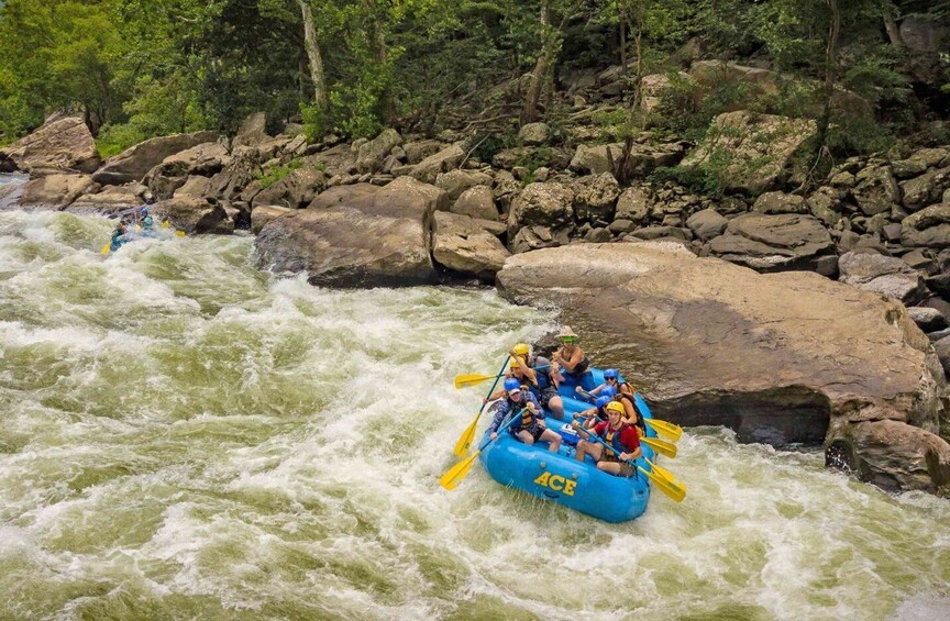 New River Gorge Whitewater Rafting - Lower New Full Day