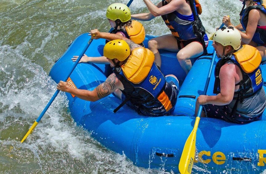 Picture 3 for Activity New River Gorge Whitewater Rafting - Lower New Full Day