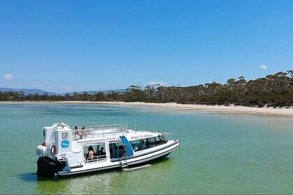 Von Hobart aus: Tagesausflug nach Maria Island mit Hotelabholung