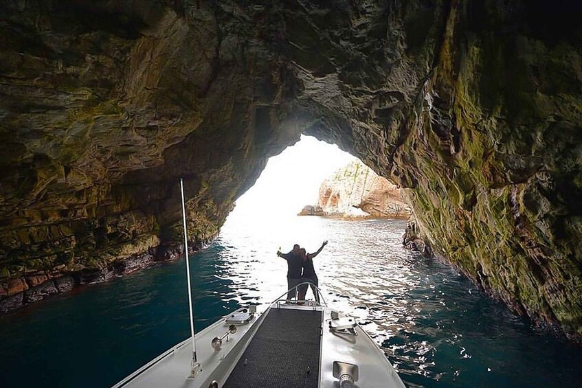 Picture 5 for Activity From Hobart: Day Trip to Maria Island with Hotel Pickup