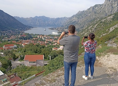From Podgorica: NP Skadar lake, St. Stefan & Kotor day trip