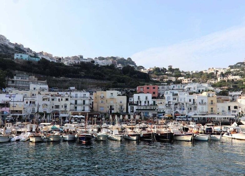 Picture 2 for Activity Sorrento: Capri, Anacapri and Blue Grotto Guided Tour