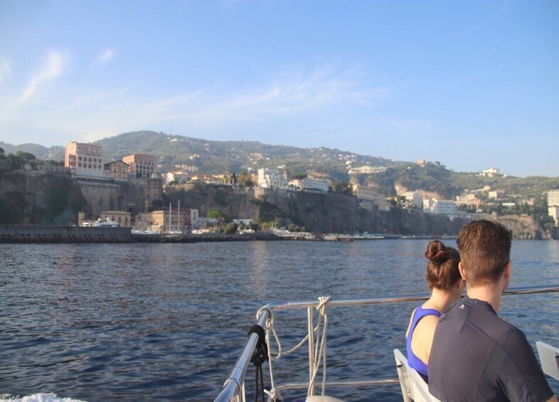 Picture 1 for Activity Sorrento: Capri, Blue Grotto and Augustus Gardens Day Tour