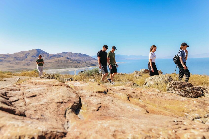 Salt Lake City: Great Salt Lake Antelope Island Guided Tour