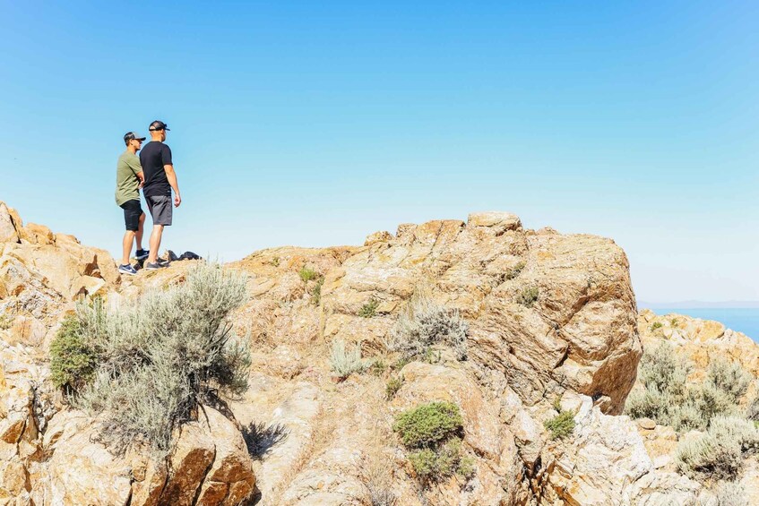 Picture 7 for Activity Salt Lake City: Great Salt Lake Antelope Island Guided Tour