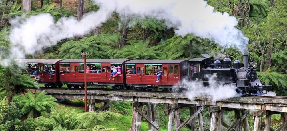 Picture 2 for Activity From Melbourne: Puffing Billy and Penguin Parade Combo Tour