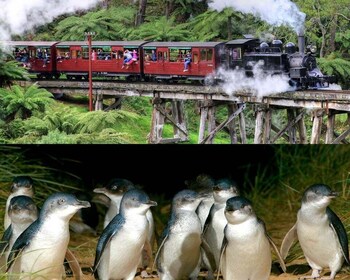 From Melbourne: Puffing Billy and Penguin Parade Combo Tour