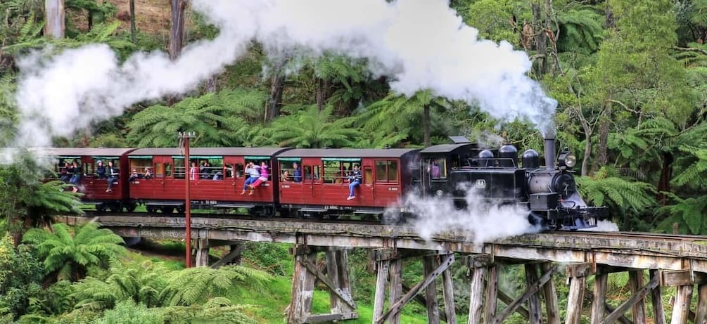 Picture 2 for Activity From Melbourne: Puffing Billy and Penguin Parade Combo Tour