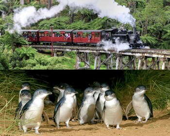 From Melbourne: Puffing Billy and Penguin Parade Combo Tour