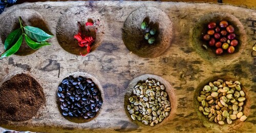 Arusha: Traditional Coffee Preparation